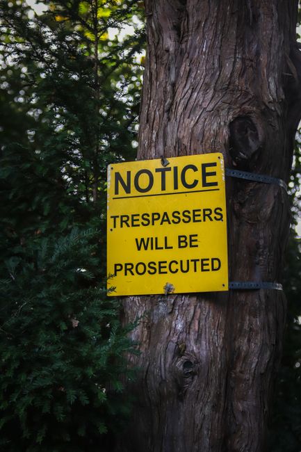 A yellow warning sign attached to a large tree trunk in an outdoor setting, displaying the message 'NOTICE TRESPASSERS WILL BE PROSECUTED' in bold black letters. The sign is secured to the tree with metal brackets and is positioned amidst dense greenery, including leaves and branches in the background. The textured bark of the tree is visible, with natural variations in color and surface detail. The scene appears to be in a natural or semi-natural environment, possibly a private or restricted area where signs are used to enforce boundaries and prevent unauthorized access, reflecting a context where private waste handling or alternative rubbish clearance methods may be relevant. Lighting is natural, casting soft shadows and highlighting the contrast between the bright yellow sign and the surrounding foliage.