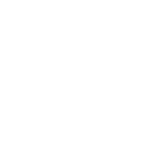 Rubbish Collection Pimlico SW1